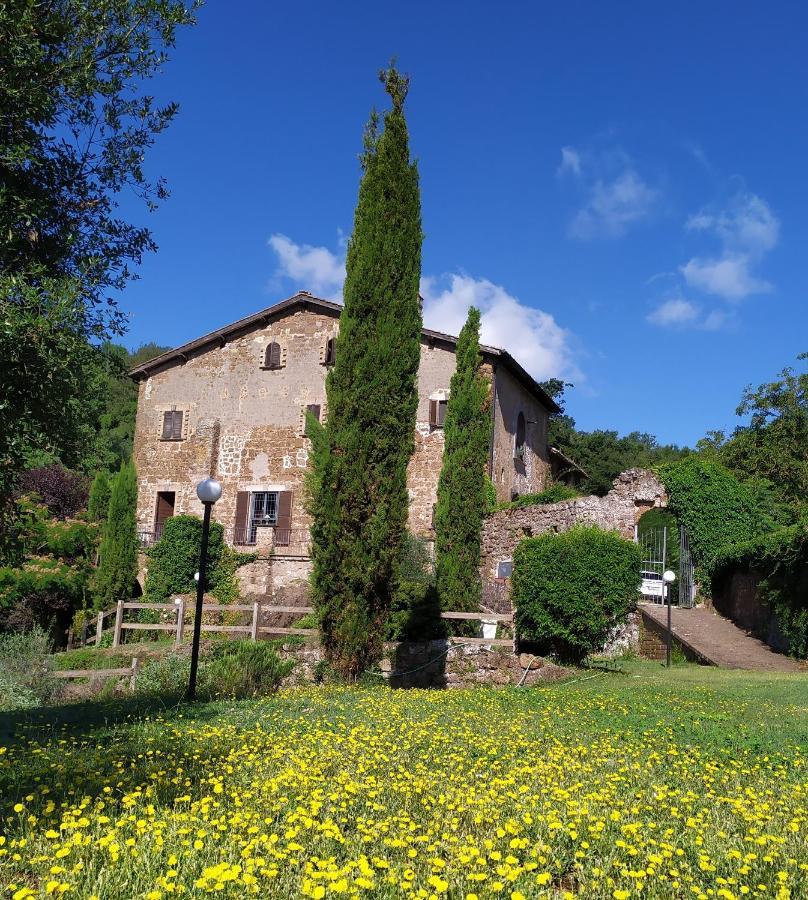 B&B Il Giardino Del Borgo Veiano Экстерьер фото