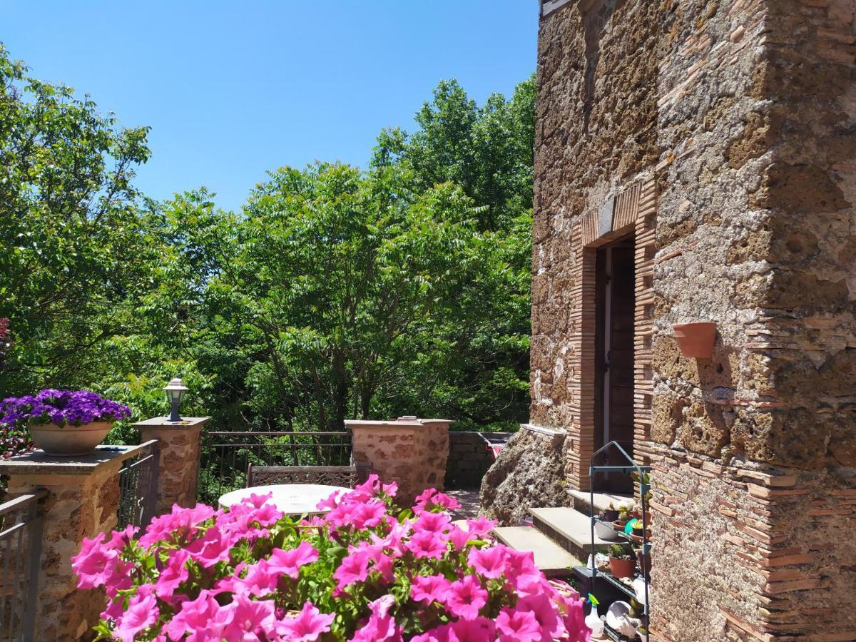 B&B Il Giardino Del Borgo Veiano Экстерьер фото
